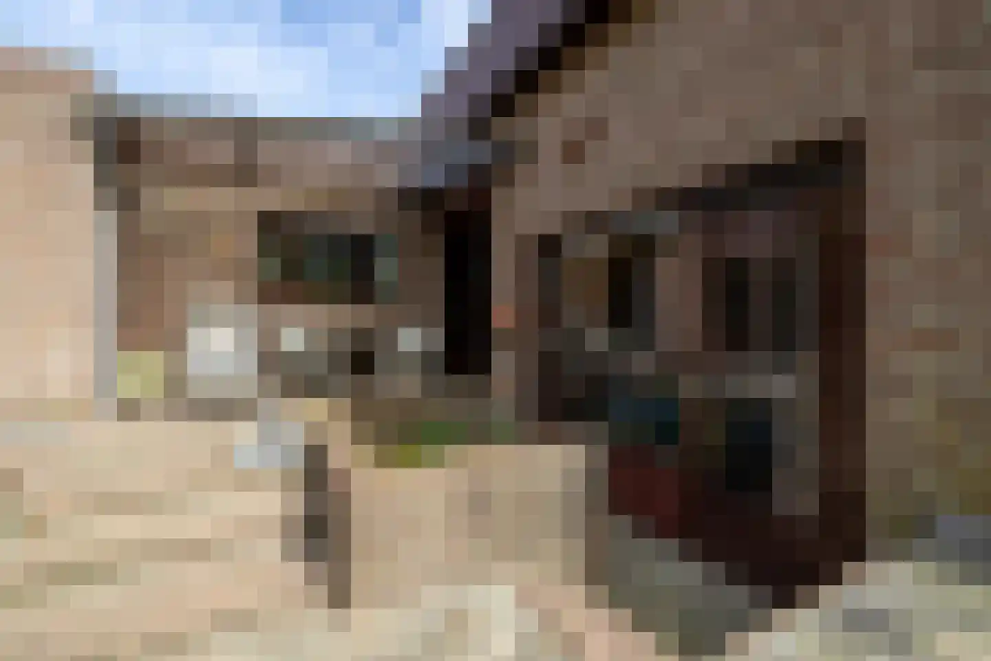 Weislag 12 's-Hertogenbosch thumbnail 26