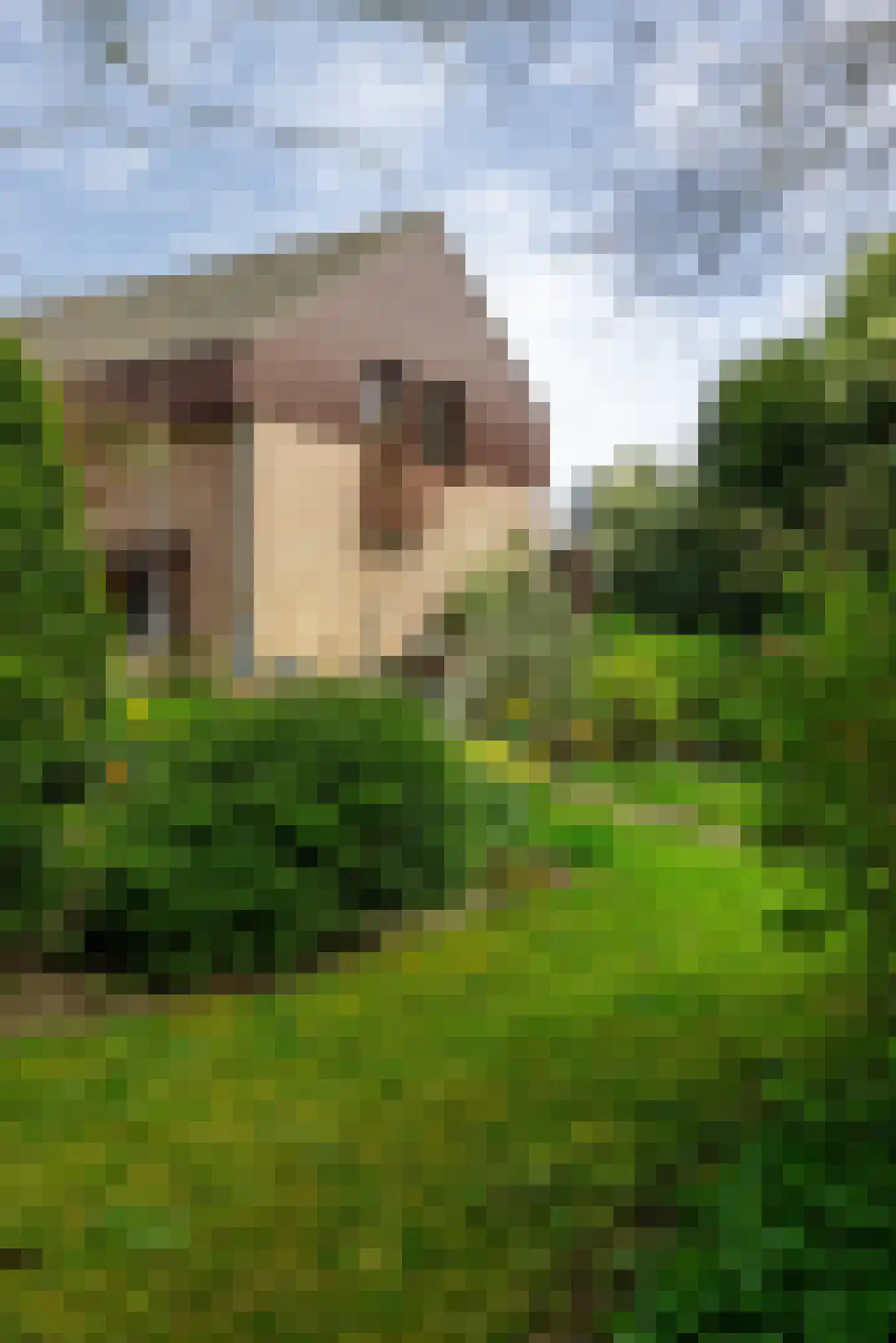 Weislag 12 's-Hertogenbosch thumbnail 28