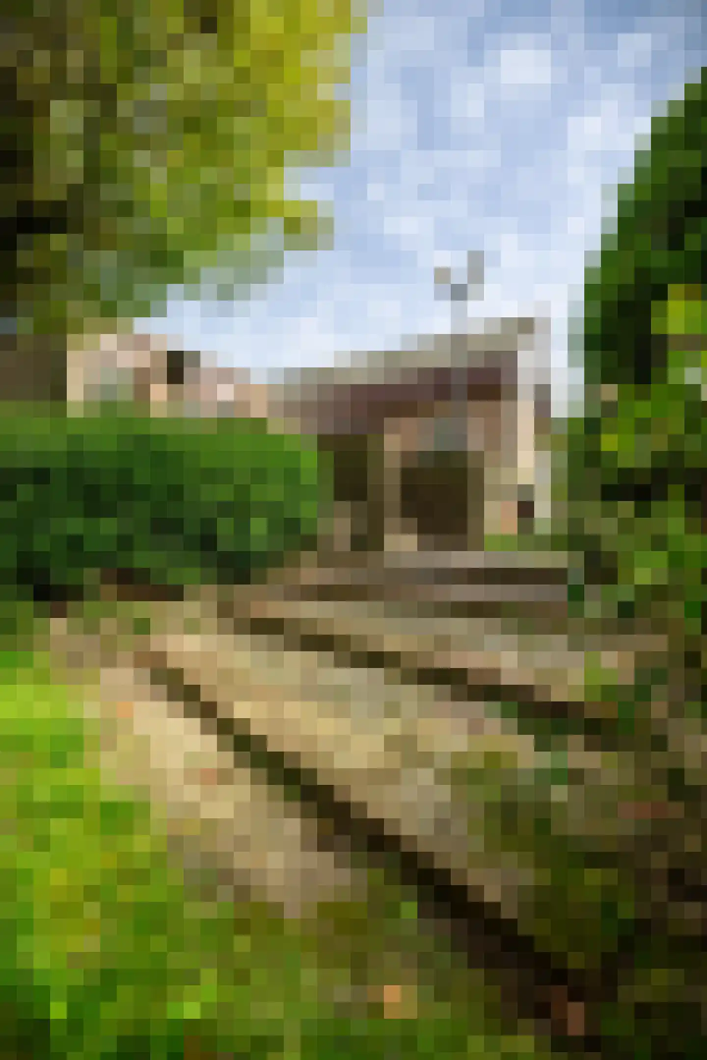 Weislag 12 's-Hertogenbosch thumbnail 29