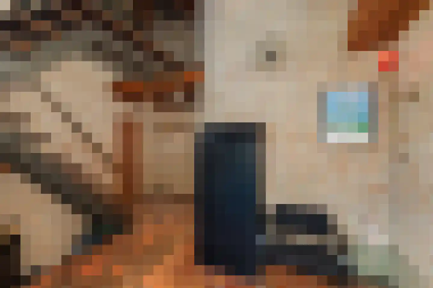 Weislag 12 's-Hertogenbosch thumbnail 33