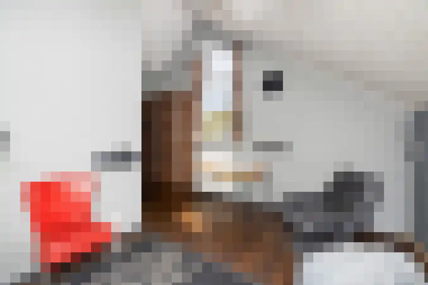 Weislag 12 's-Hertogenbosch thumbnail 35