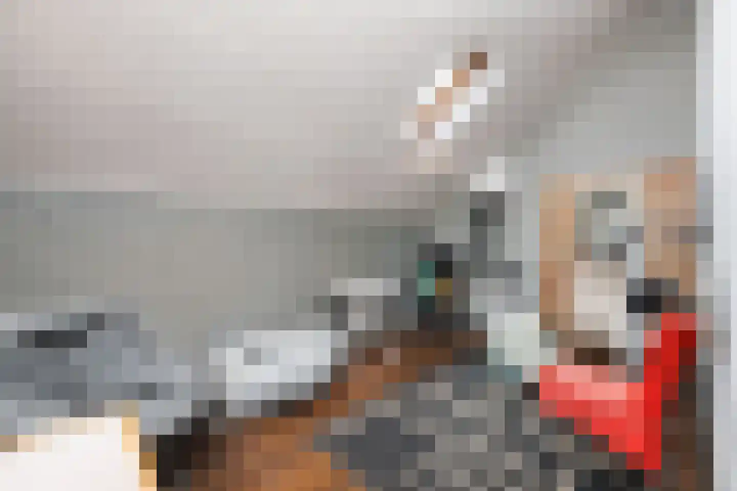 Weislag 12 's-Hertogenbosch thumbnail 36