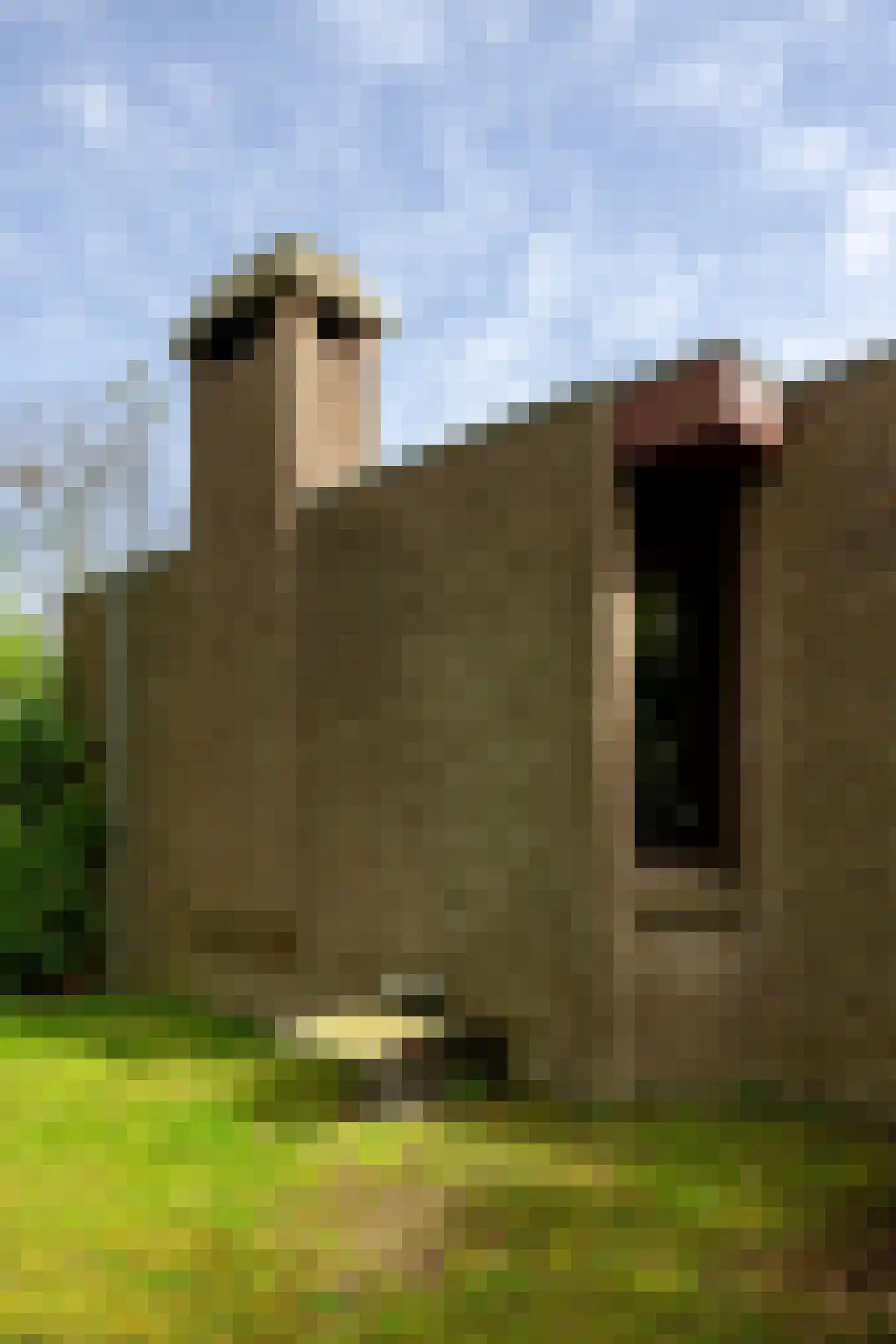 Weislag 12 's-Hertogenbosch thumbnail 4