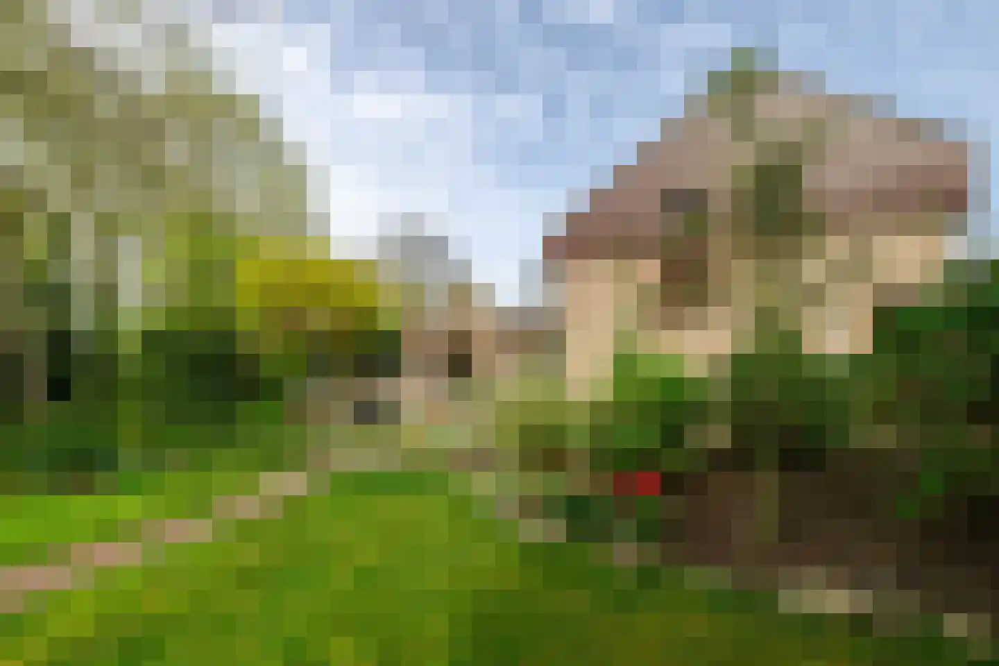 Weislag 12 's-Hertogenbosch thumbnail 45