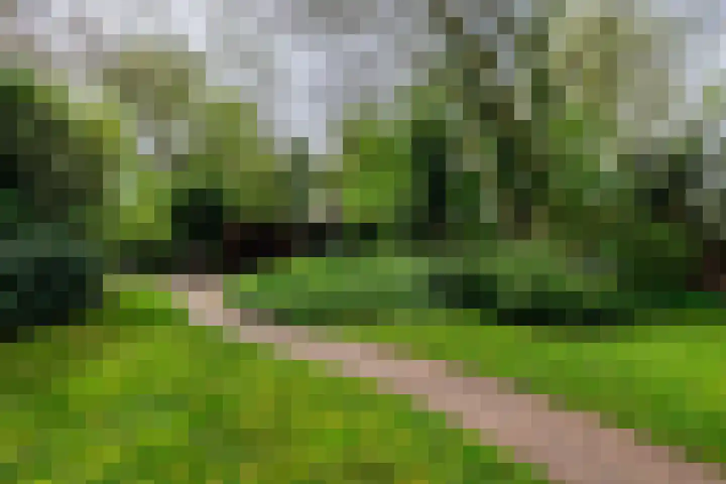 Weislag 12 's-Hertogenbosch thumbnail 47