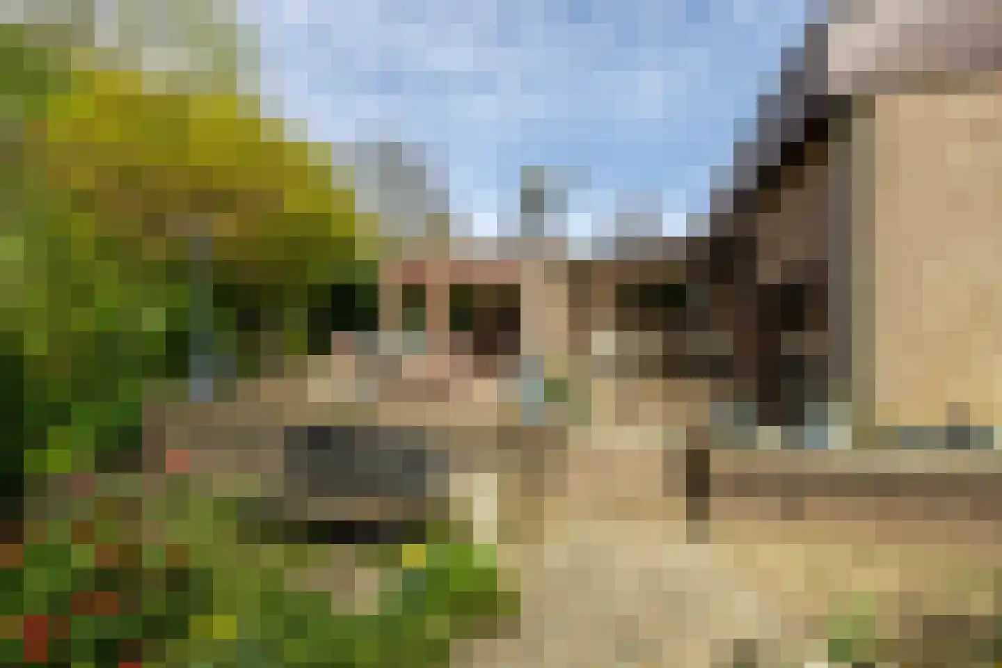 Weislag 12 's-Hertogenbosch thumbnail 48