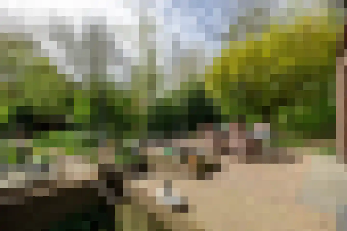 Weislag 12 's-Hertogenbosch thumbnail 49
