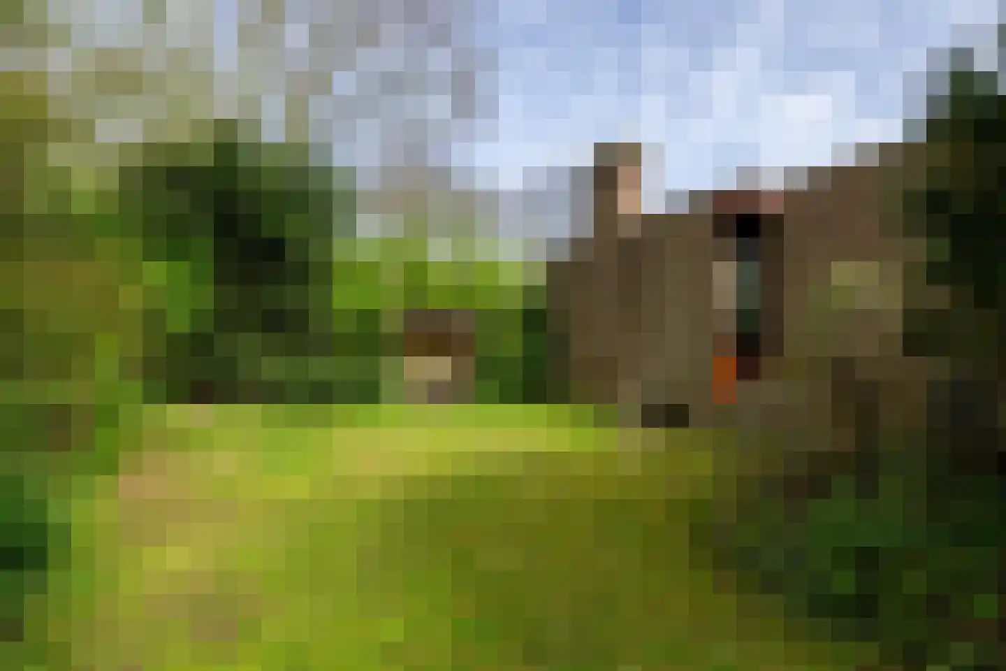 Weislag 12 's-Hertogenbosch thumbnail 5