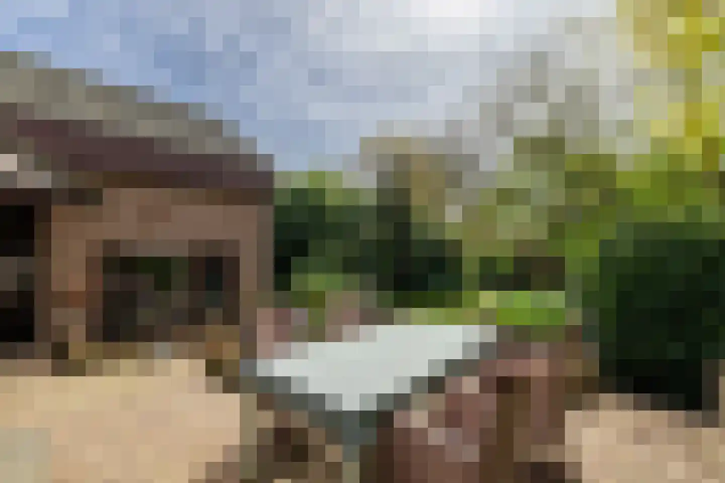 Weislag 12 's-Hertogenbosch thumbnail 50
