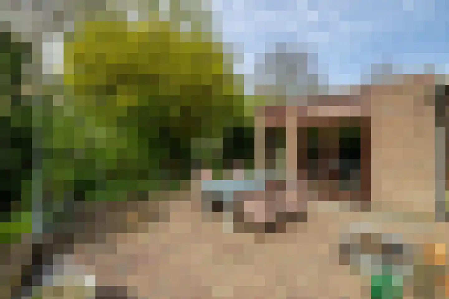 Weislag 12 's-Hertogenbosch thumbnail 51