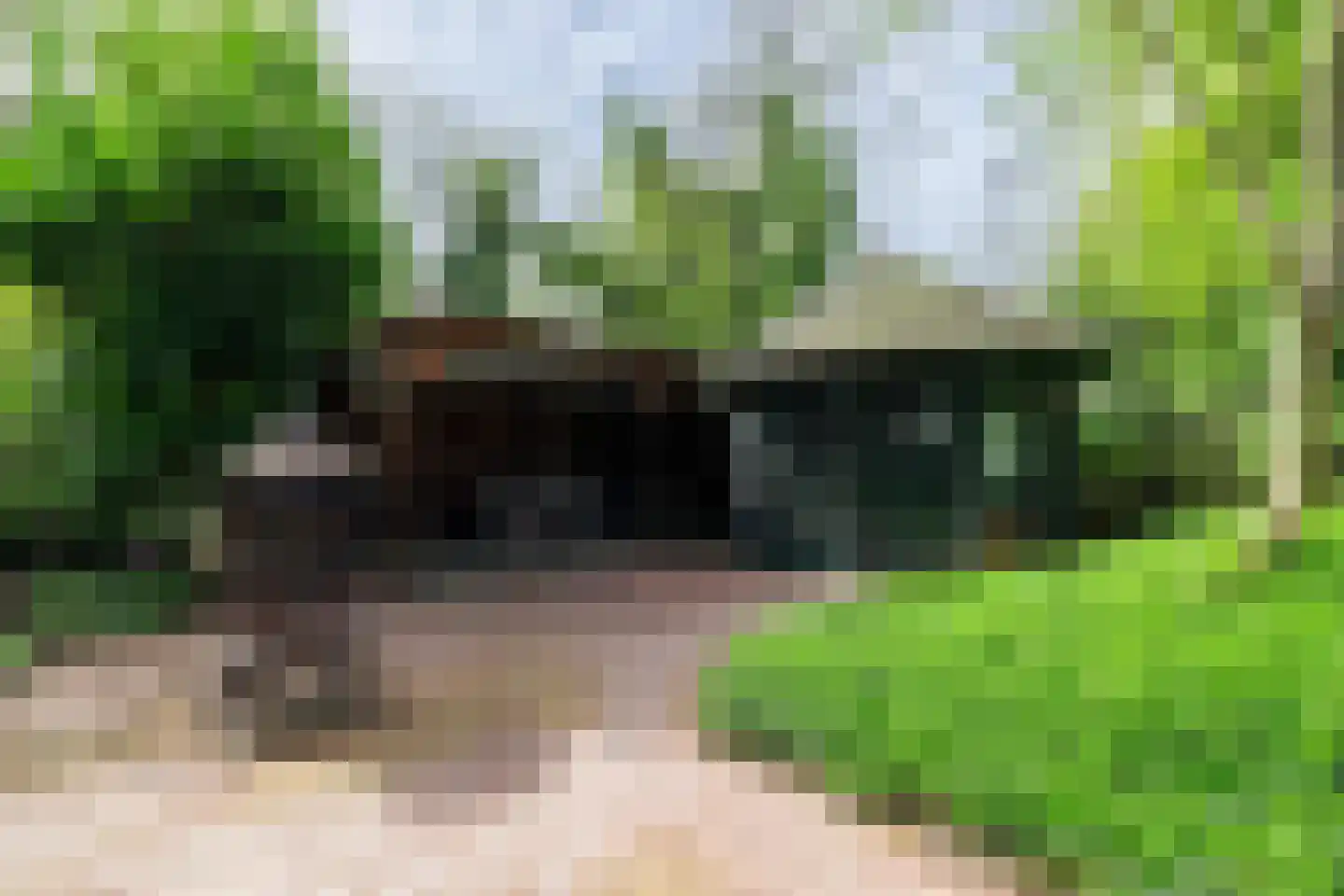 Weislag 12 's-Hertogenbosch thumbnail 57