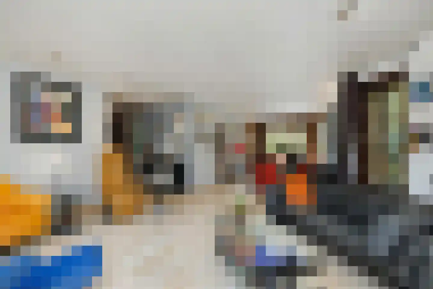 Weislag 12 's-Hertogenbosch thumbnail 6