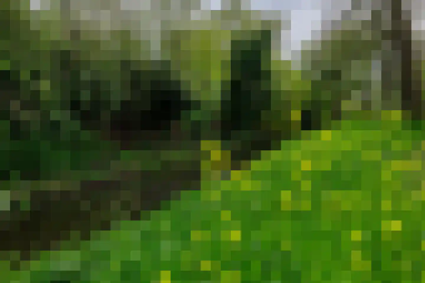 Weislag 12 's-Hertogenbosch thumbnail 62