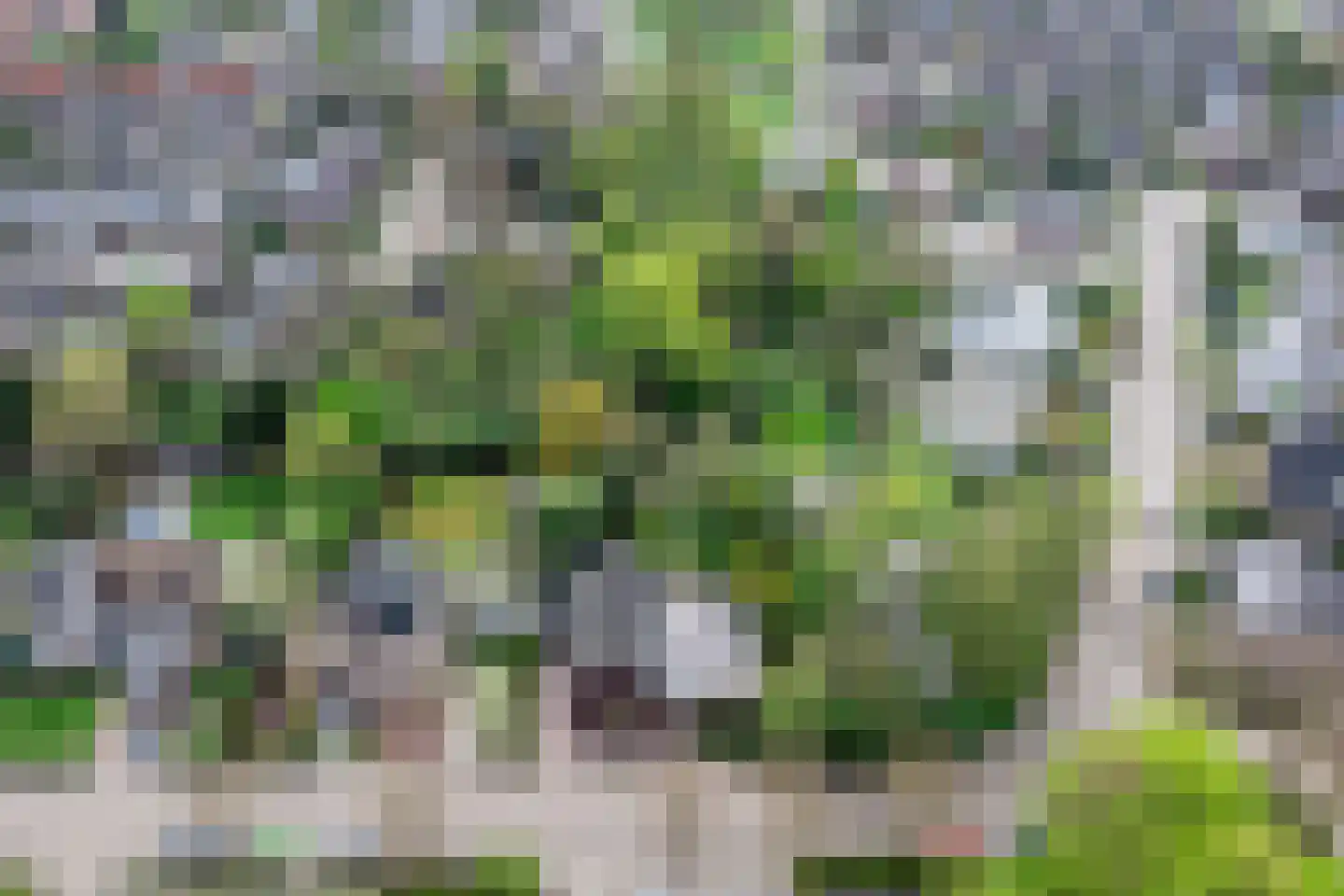 Weislag 12 's-Hertogenbosch thumbnail 63