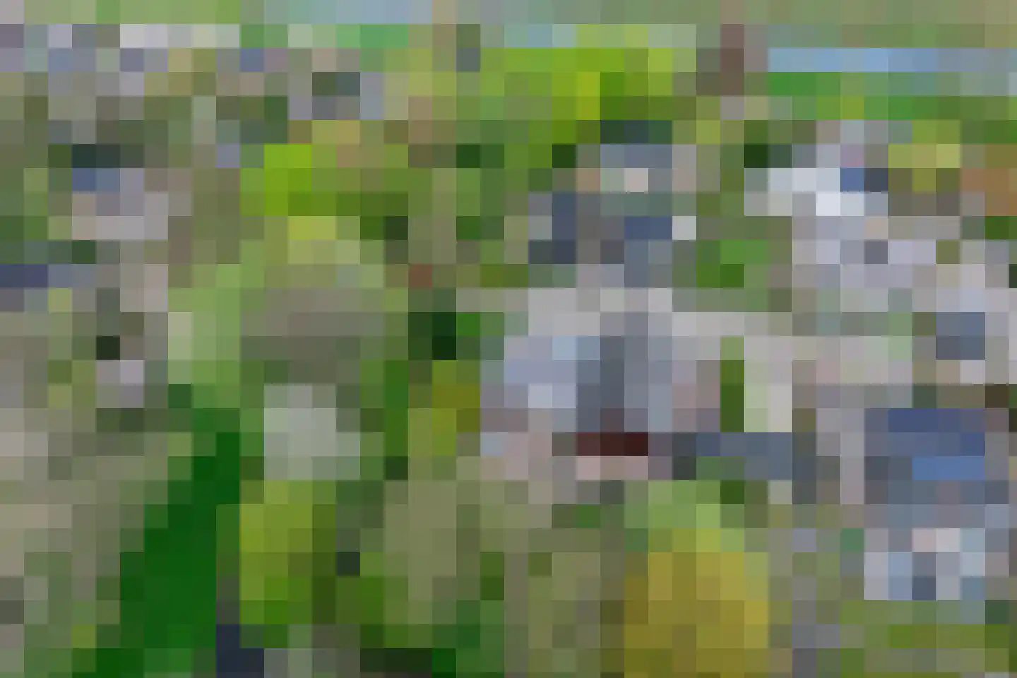 Weislag 12 's-Hertogenbosch thumbnail 64
