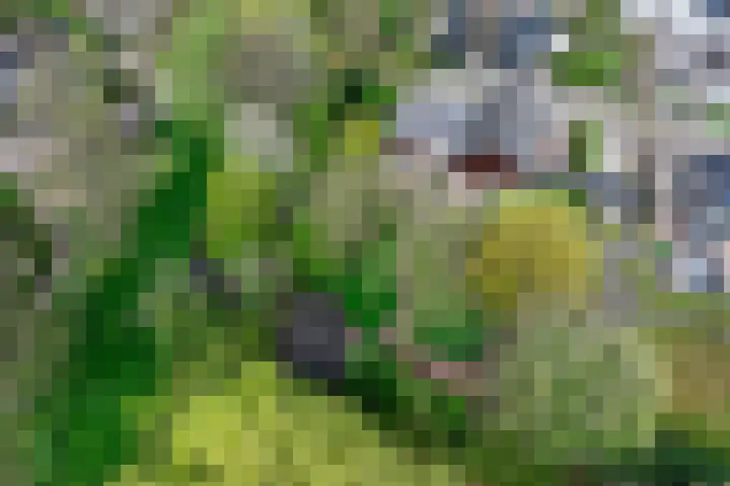 Weislag 12 's-Hertogenbosch thumbnail 68
