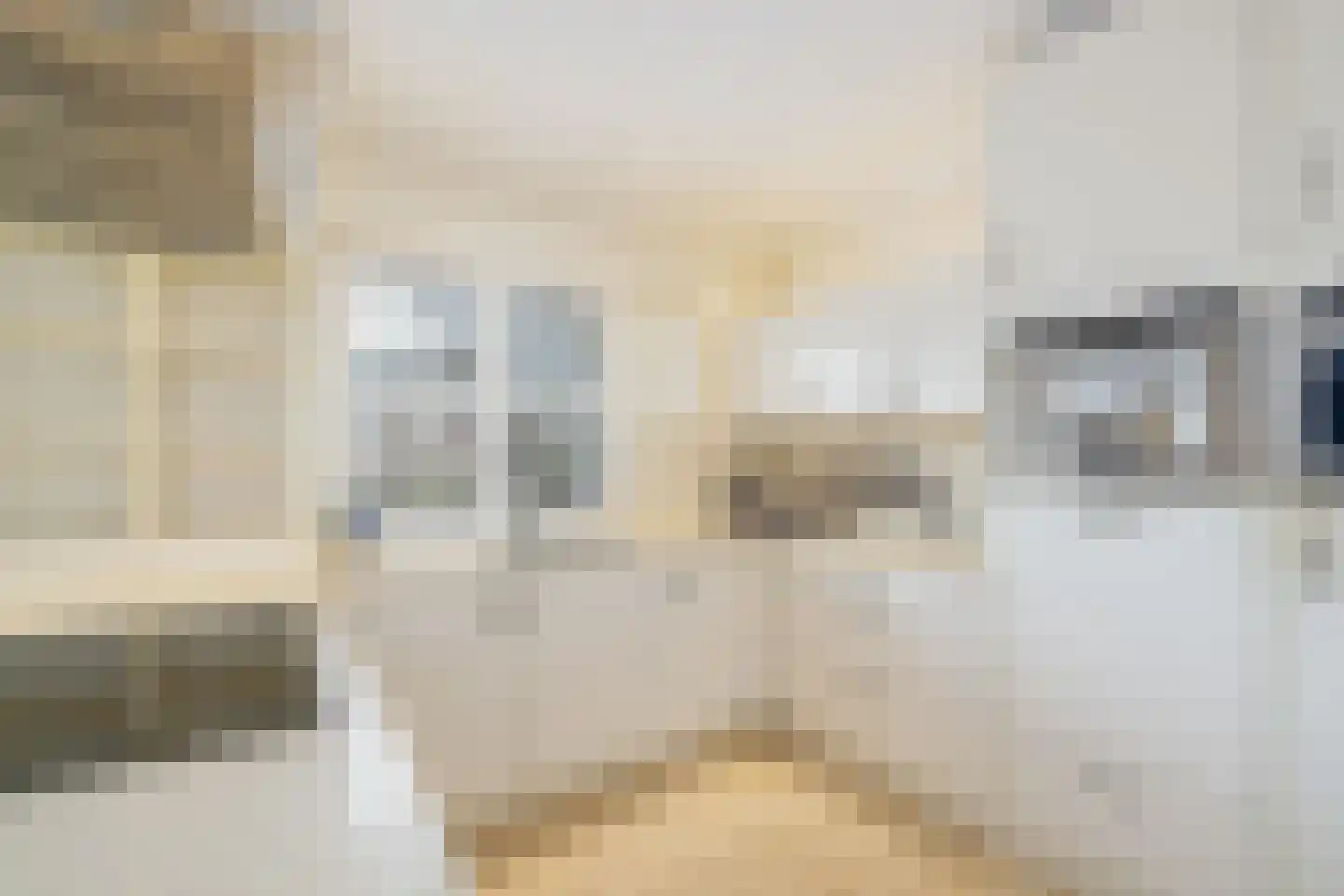 Weislag 14 's-Hertogenbosch thumbnail 12