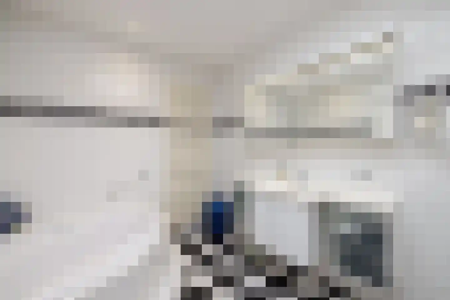 Weislag 14 's-Hertogenbosch thumbnail 19