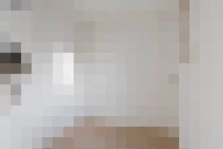 Weisleatstrjitte 6 Heeg thumbnail 13
