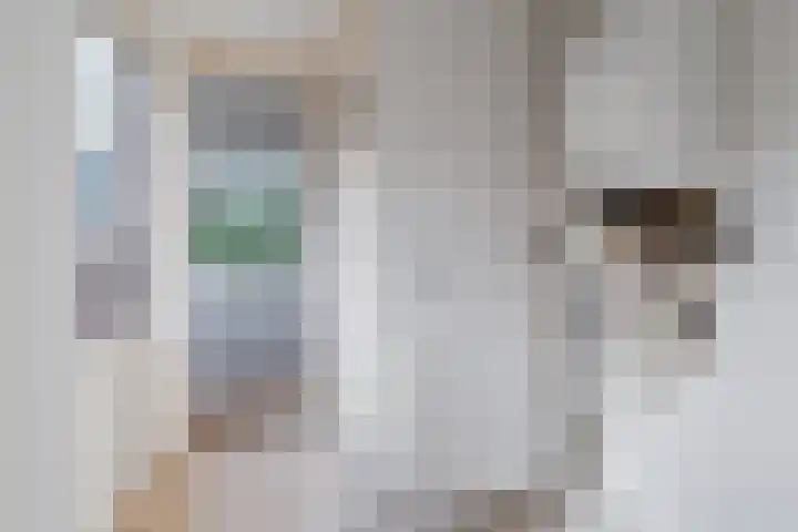 Weisleatstrjitte 6 Heeg thumbnail 14