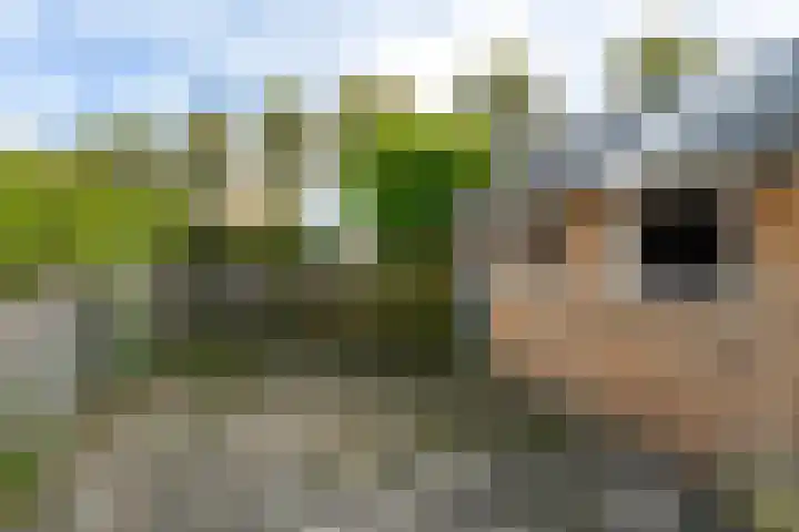 Weisleatstrjitte 6 Heeg thumbnail 15