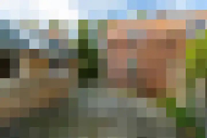 Weisleatstrjitte 6 Heeg thumbnail 17