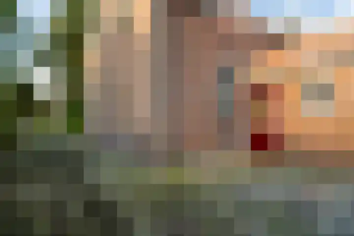 Weisleatstrjitte 6 Heeg thumbnail 18