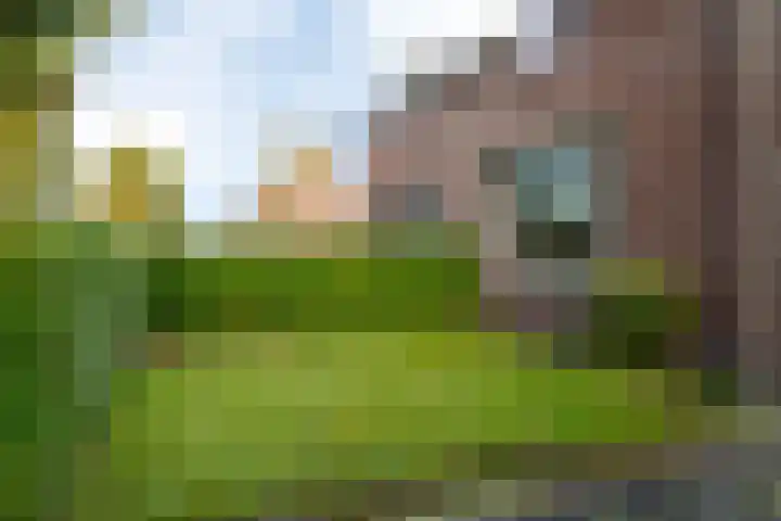 Weisleatstrjitte 6 Heeg thumbnail 19