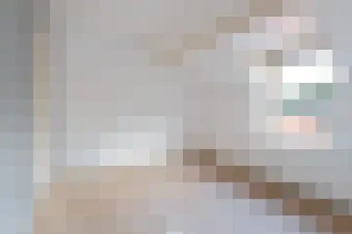 Weisleatstrjitte 6 Heeg thumbnail 21