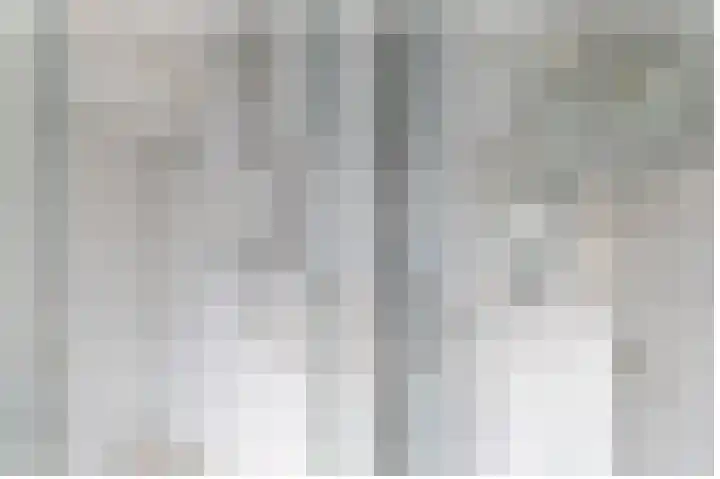 Weisleatstrjitte 6 Heeg thumbnail 25
