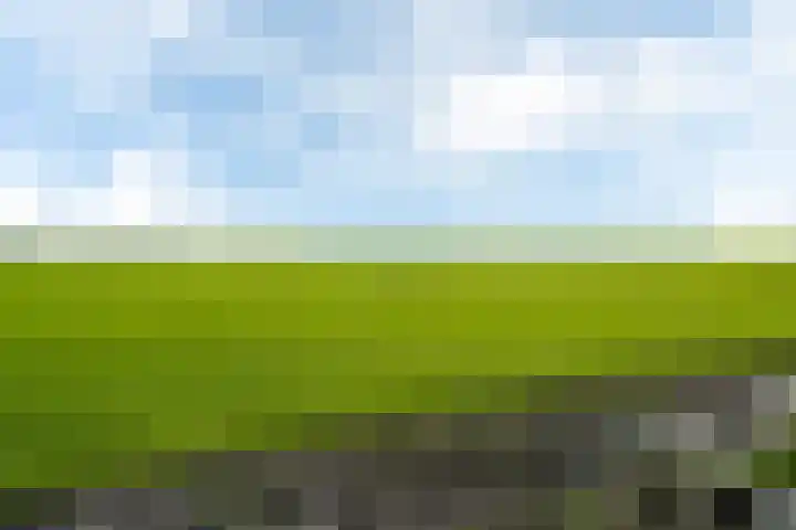 Weisleatstrjitte 6 Heeg thumbnail 28