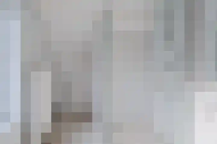 Weisleatstrjitte 6 Heeg thumbnail 29