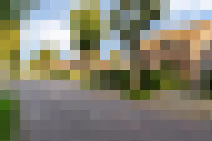 Weisleatstrjitte 6 Heeg thumbnail 4