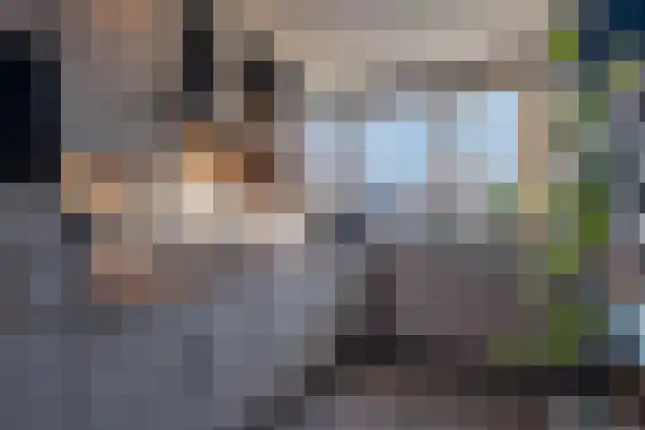 Weissenbruchlaan 1 Rhoon thumbnail 22