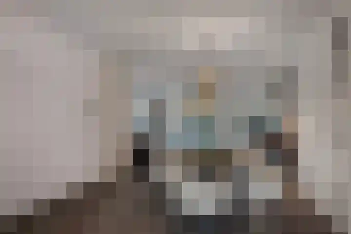 Weissenbruchlaan 1 Rhoon thumbnail 24