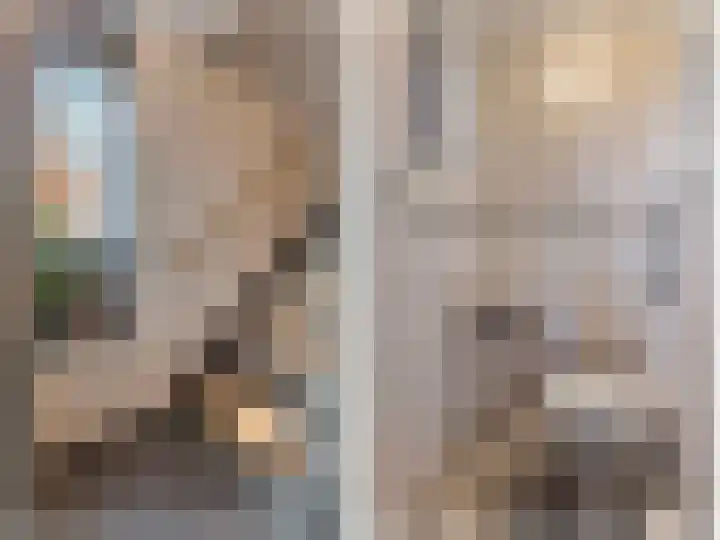 Weissenbruchlaan 1 Rhoon thumbnail 25