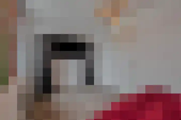 Weissenbruchlaan 1 Rhoon thumbnail 28