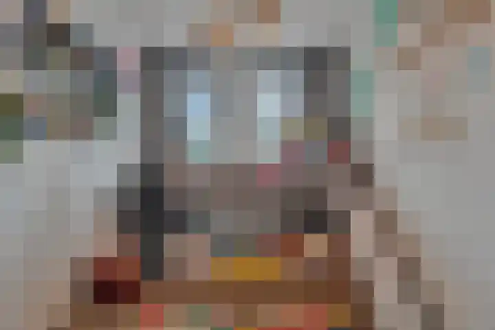 Weissenbruchlaan 1 Rhoon thumbnail 30