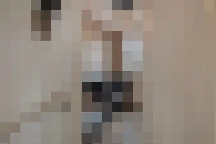 Weissenbruchlaan 1 Rhoon thumbnail 31