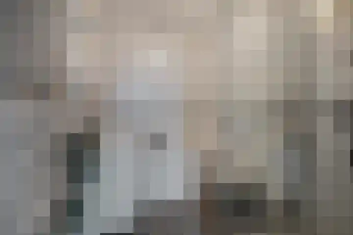 Weissenbruchlaan 1 Rhoon thumbnail 33