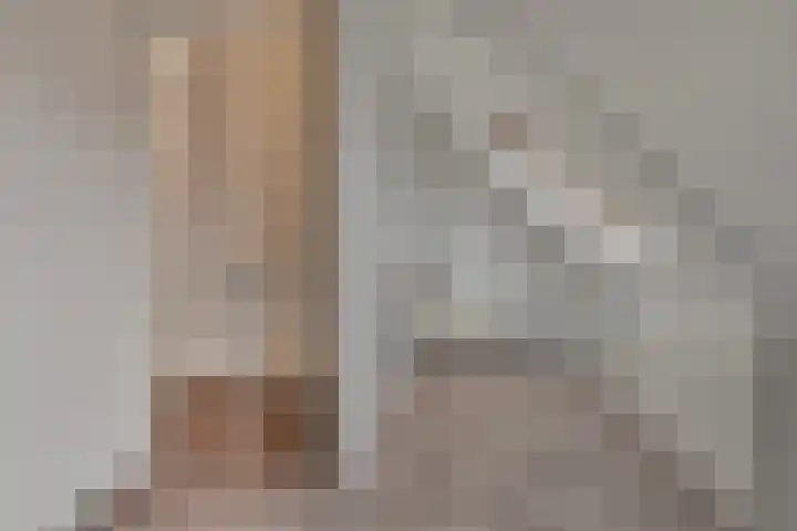 Weissenbruchlaan 1 Rhoon thumbnail 41