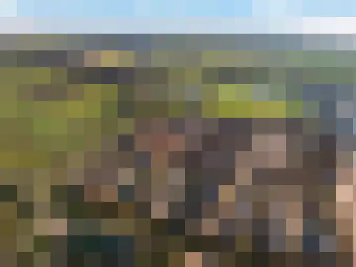 Weissenbruchlaan 1 Rhoon thumbnail 5