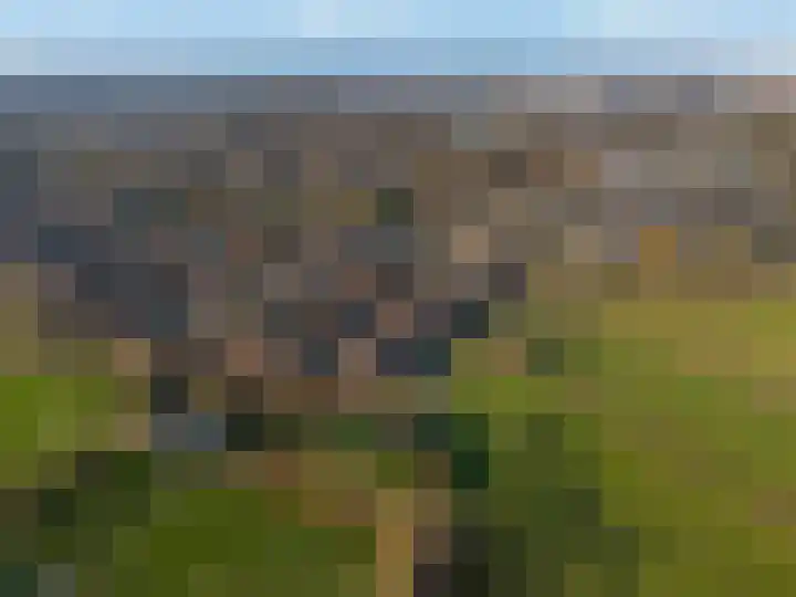 Weissenbruchlaan 1 Rhoon thumbnail 55
