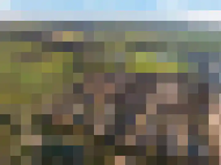 Weissenbruchlaan 1 Rhoon thumbnail 56