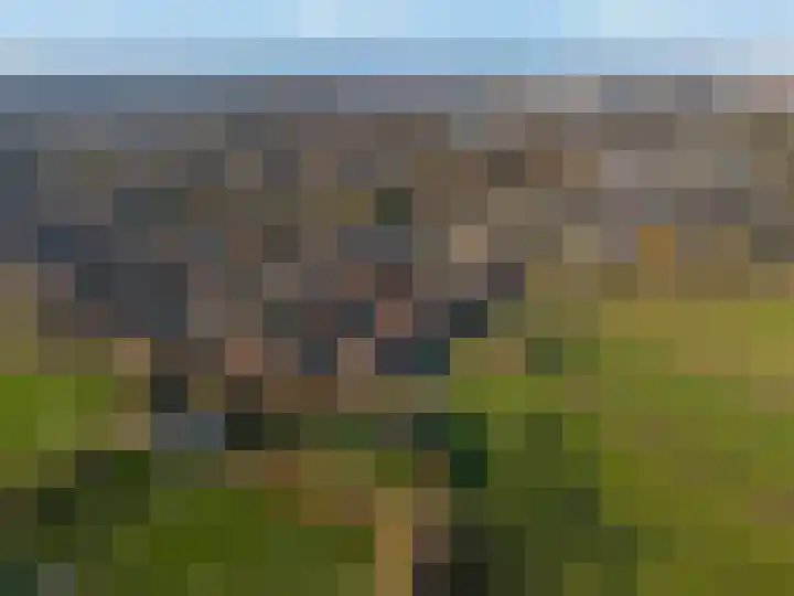 Weissenbruchlaan 1 Rhoon thumbnail 57