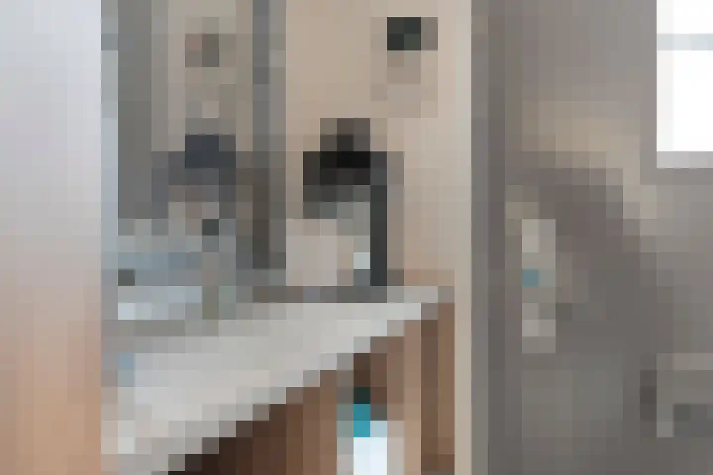 Weissenbruchlaan 11 Rhoon thumbnail 10