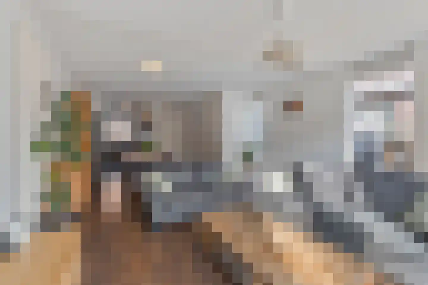 Weissenbruchlaan 11 Rhoon thumbnail 21