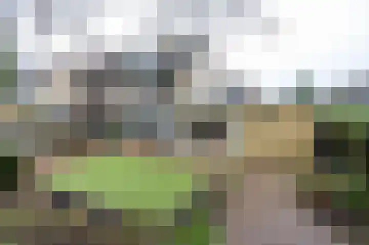 Weissenbruchlaan 20 Nieuwkoop thumbnail 30