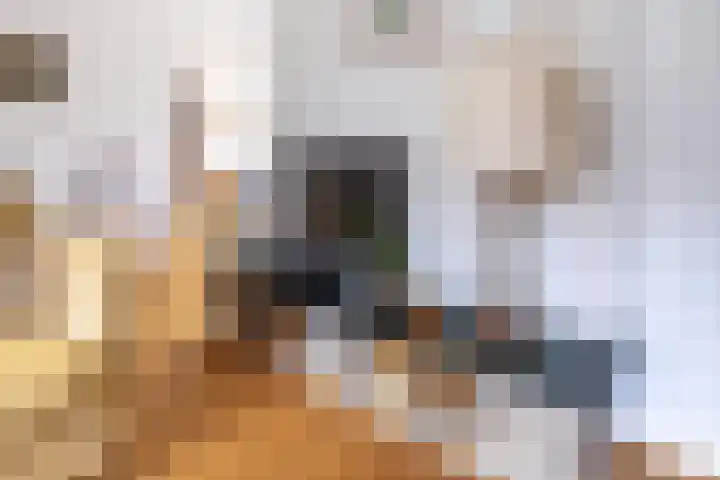 Weissenbruchlaan 20 Nieuwkoop thumbnail 6