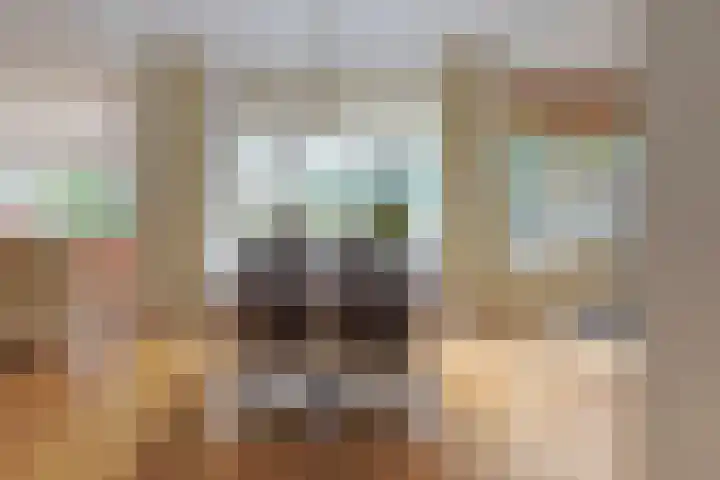 Weissenbruchlaan 20 Nieuwkoop thumbnail 7